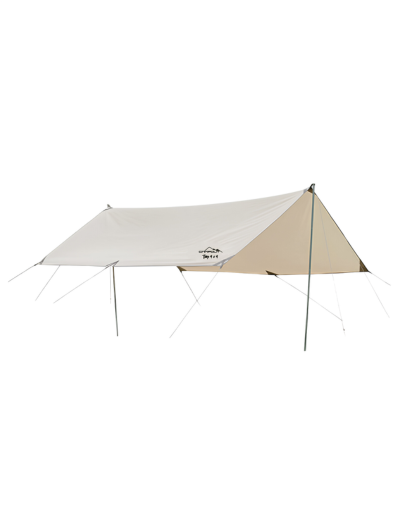 Tarp