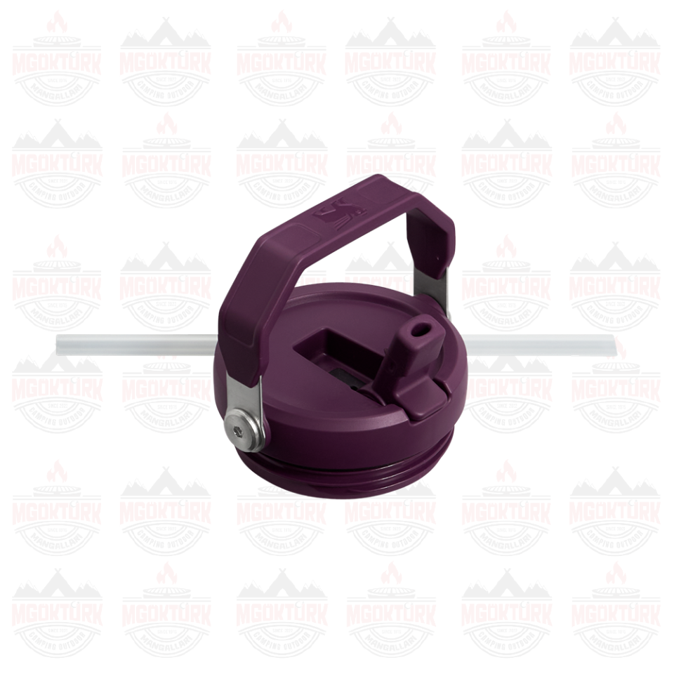 The IceFlow ™ Flip Straw Tumbler 0.89 LT Tigerlily 10-09993-314 / 1210001957831