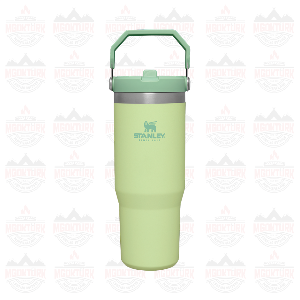 The IceFlow ™ Flip Straw Tumbler 0.89 LT Citron 10-09993-197 / 1210001903487