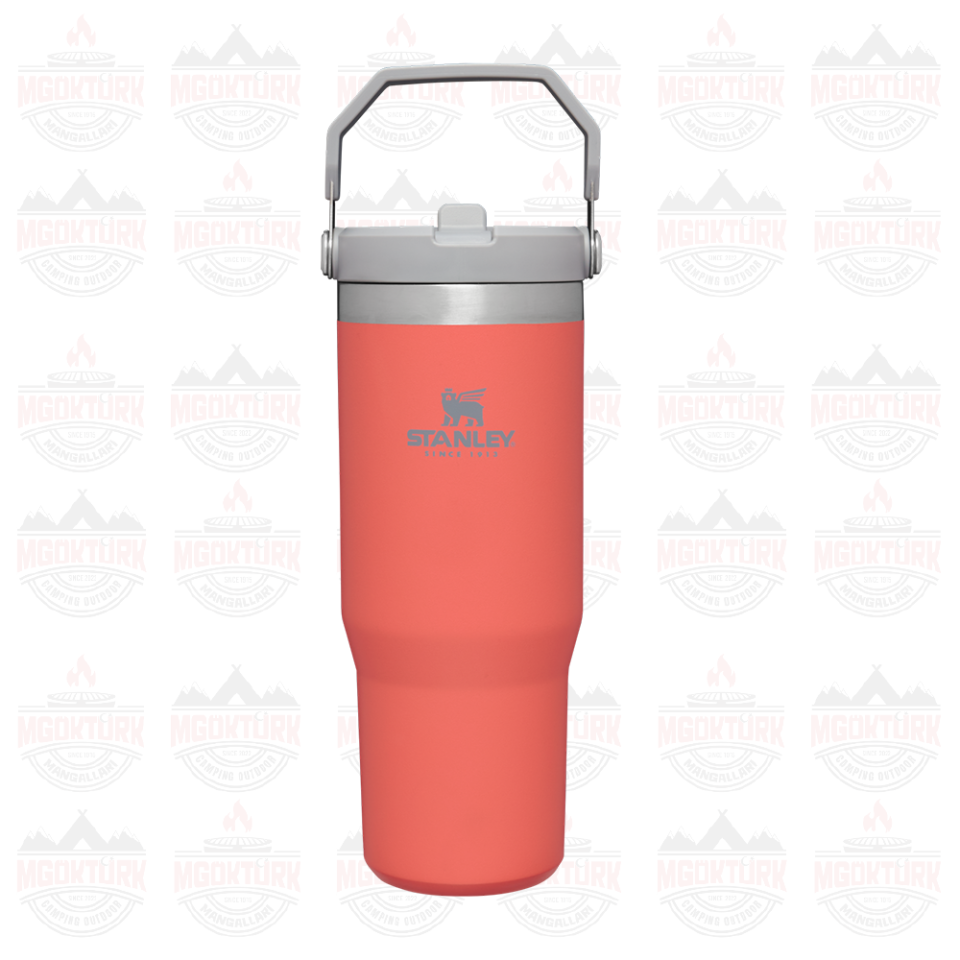 The IceFlow ™ Flip Straw Tumbler 0.89 LT Guava 10-09993-195 / 1210001903463