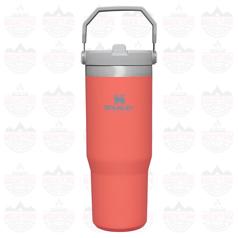 The IceFlow ™ Flip Straw Tumbler 0.89 LT Guava 10-09993-195 / 1210001903463