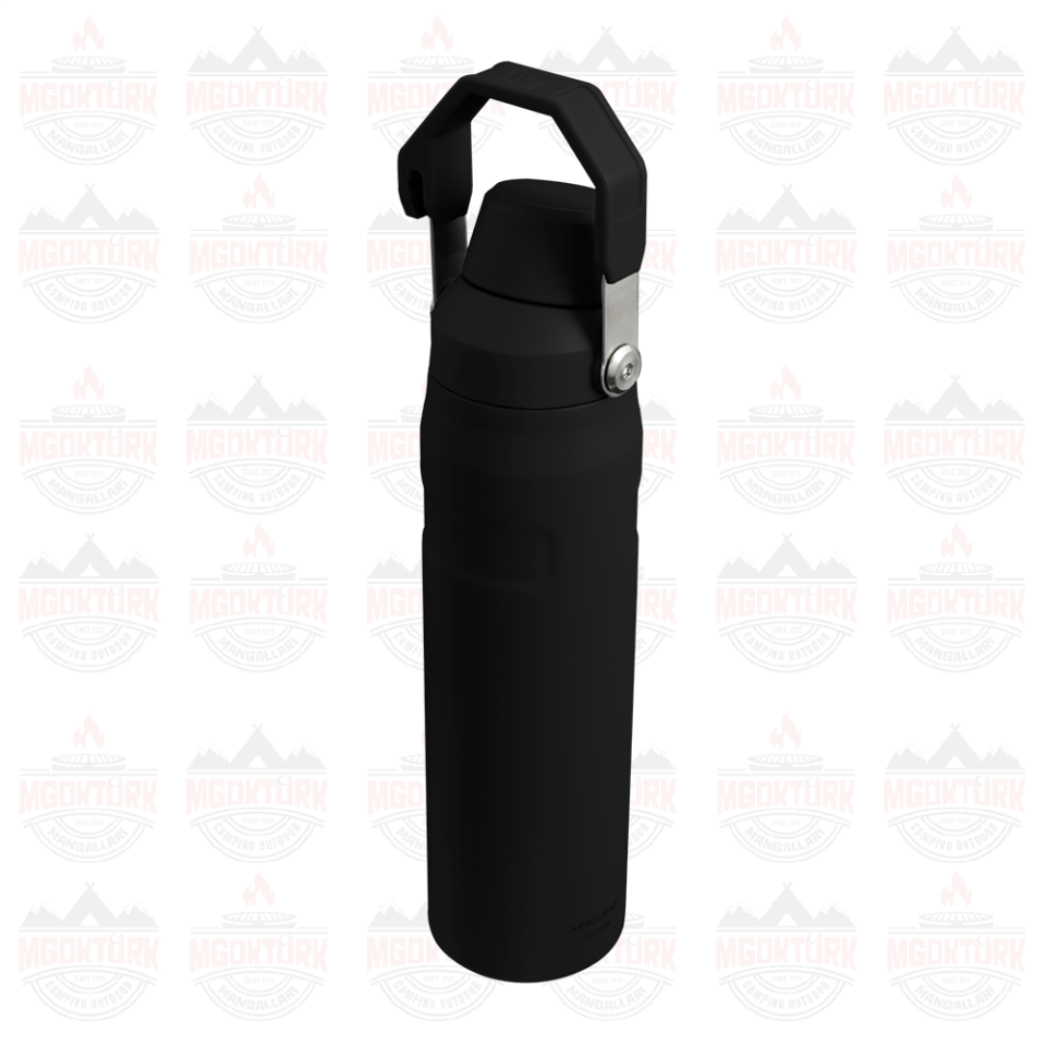 The Aerolight ™ IceFlow ™ Water Bottle Fast Flow 0.6L / 20oz Black 10-12515-001 / 1210001959453