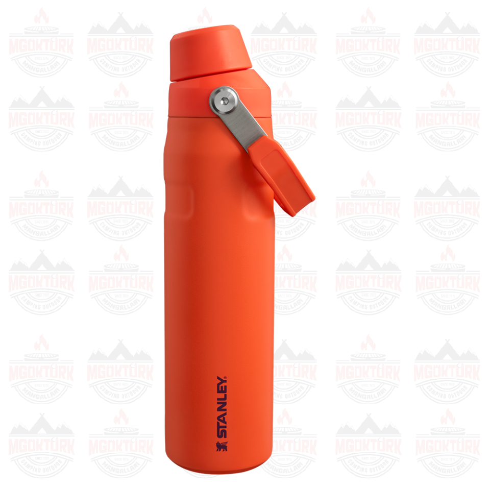 The Aerolight ™ IceFlow ™ Water Bottle Fast Flow 0.6L / 20oz Tigerlily 10-12515-003 / 1210001959477