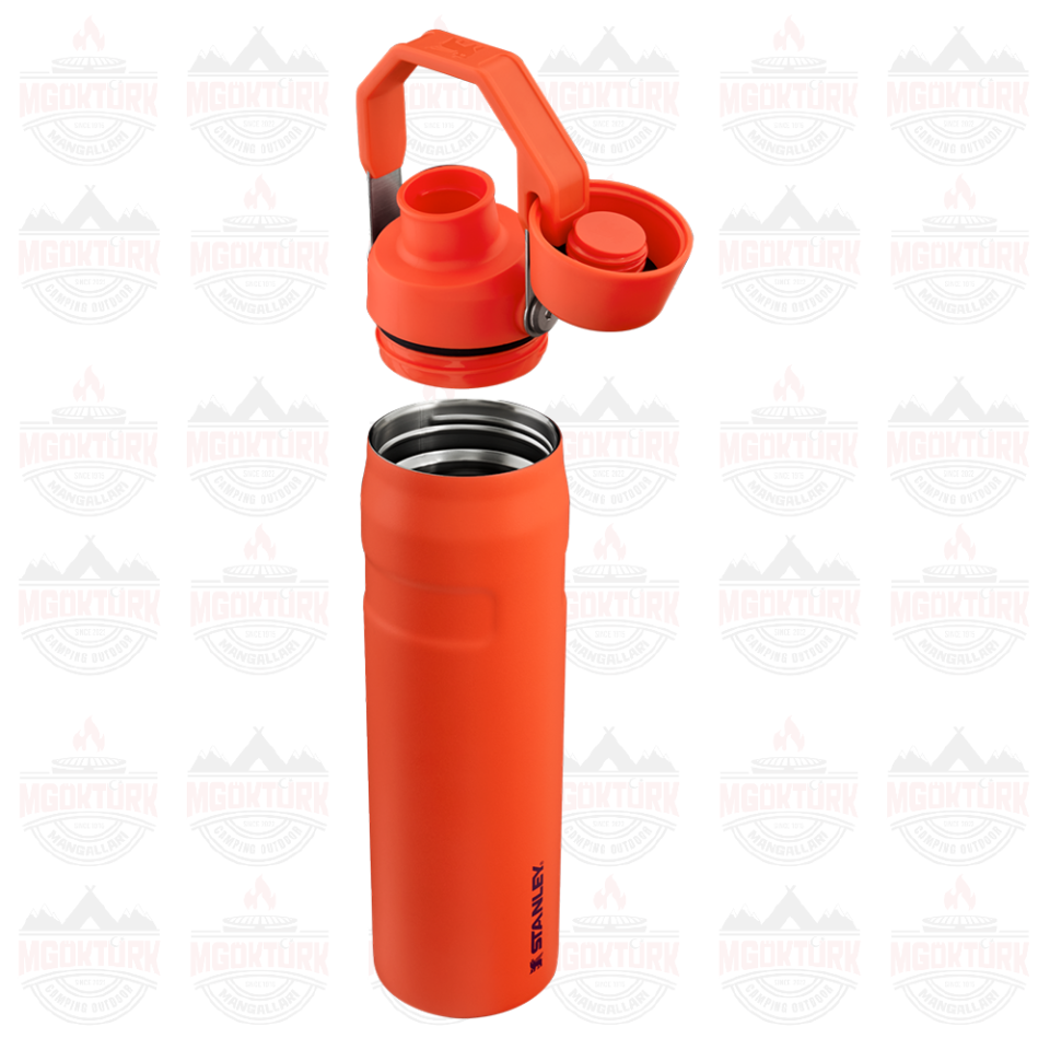 The Aerolight ™ IceFlow ™ Water Bottle Fast Flow 0.6L / 20oz Tigerlily 10-12515-003 / 1210001959477