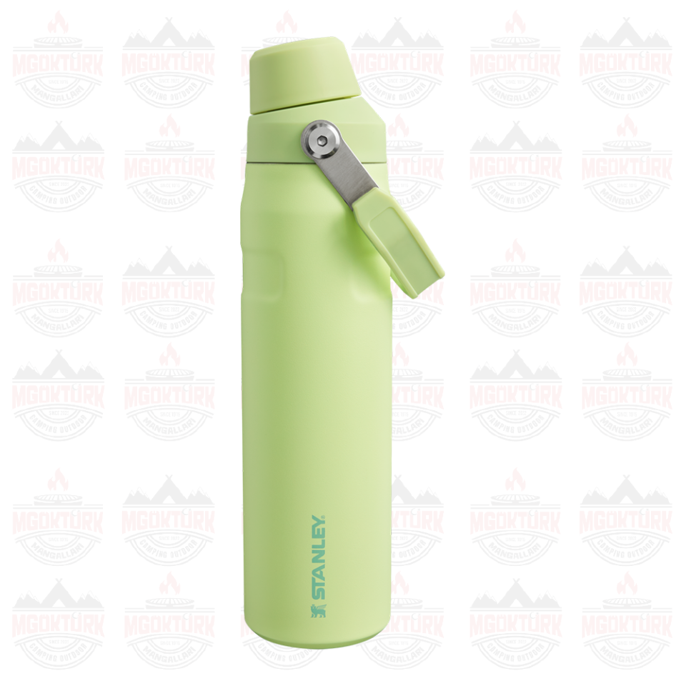 The Aerolight ™ IceFlow ™ Water Bottle Fast Flow 0.6L / 20oz Citron 10-12515-006 / 1210001959507
