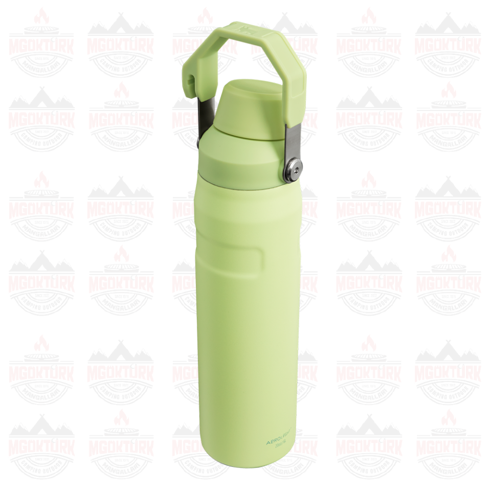 The Aerolight ™ IceFlow ™ Water Bottle Fast Flow 0.6L / 20oz Citron 10-12515-006 / 1210001959507