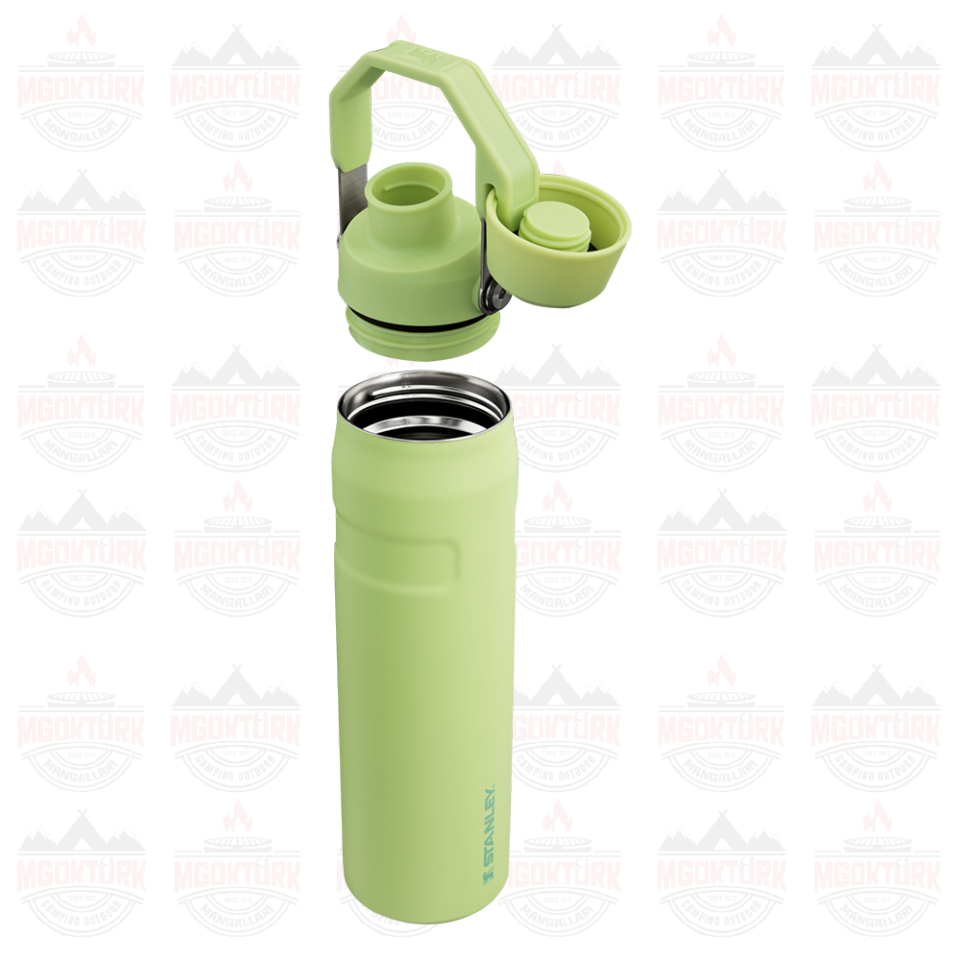 The Aerolight ™ IceFlow ™ Water Bottle Fast Flow 0.6L / 20oz Citron 10-12515-006 / 1210001959507