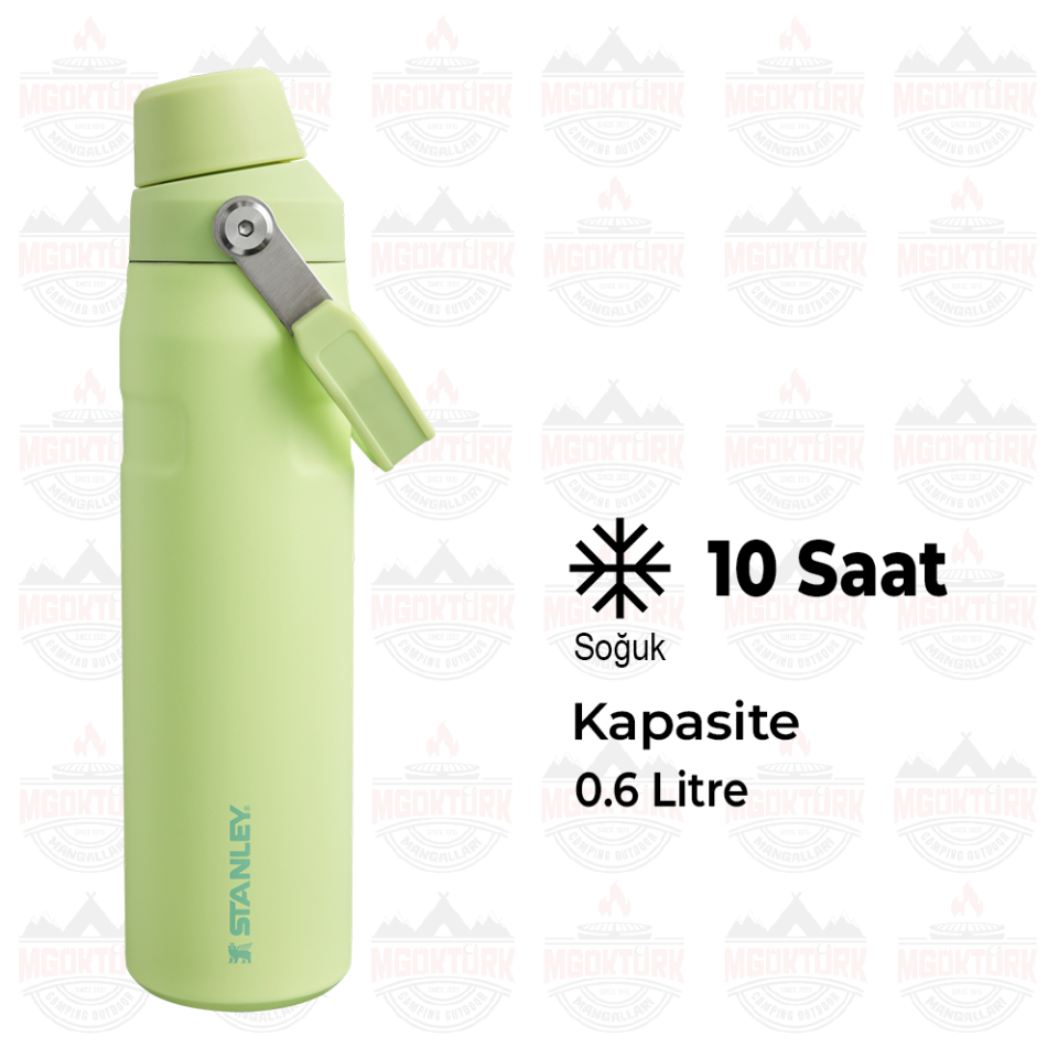 The Aerolight ™ IceFlow ™ Water Bottle Fast Flow 0.6L / 20oz Citron 10-12515-006 / 1210001959507