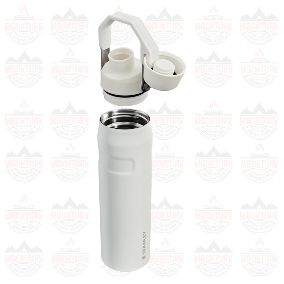 The Aerolight ™ IceFlow ™ Water Bottle Fast Flow 0.6L / 20oz  Frost 10-12515-002 / 1210001959460