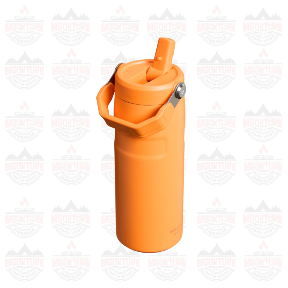 The IceFlow™ Bottle Flip Straw 2.0 0.47L / 16oz  Goldenrod Coral