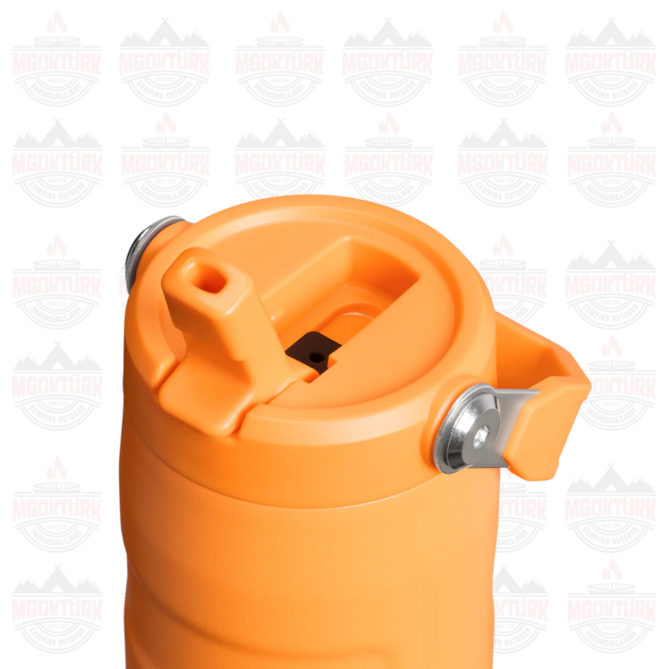 The IceFlow™ Bottle Flip Straw 2.0 0.47L / 16oz  Goldenrod Coral