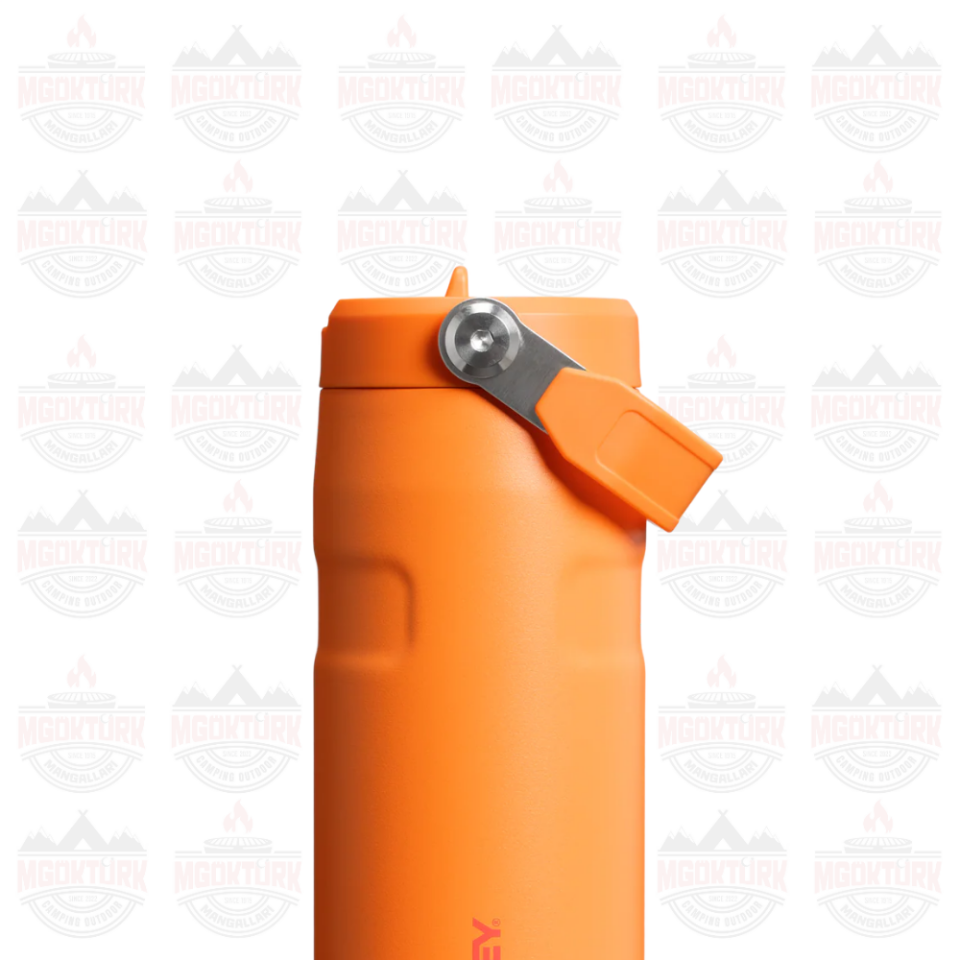 The IceFlow™ Bottle Flip Straw 2.0 0.47L / 16oz  Goldenrod Coral