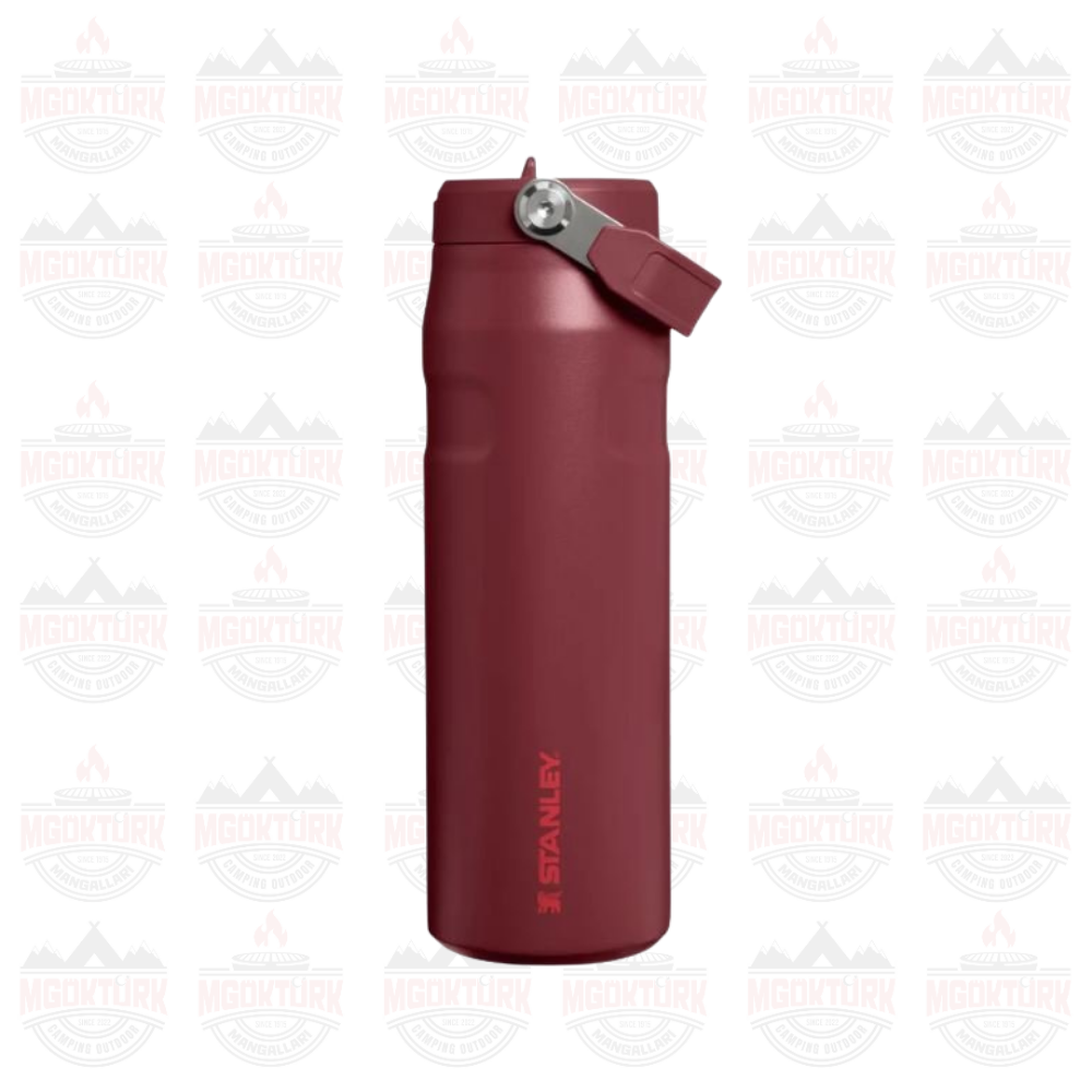 The IceFlow™ Bottle Flip Straw 2.0 0.07L / 24oz Cranberry