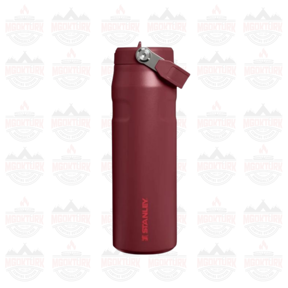 The IceFlow™ Bottle Flip Straw 2.0 0.07L / 24oz Cranberry