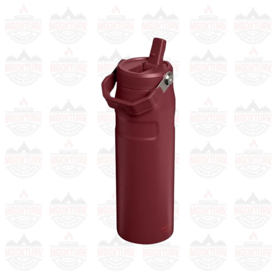 The IceFlow™ Bottle Flip Straw 2.0 0.07L / 24oz Cranberry