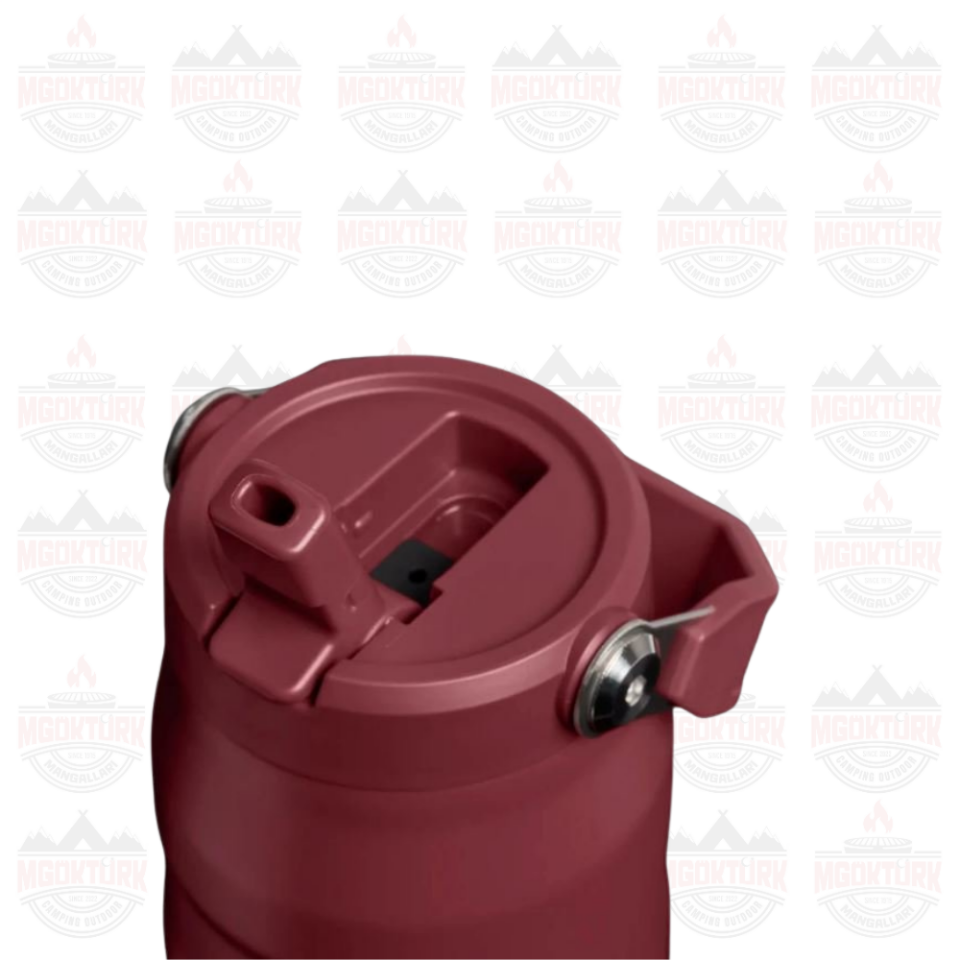 The IceFlow™ Bottle Flip Straw 2.0 0.07L / 24oz Cranberry