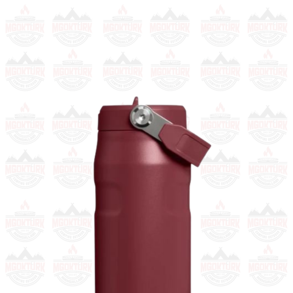 The IceFlow™ Bottle Flip Straw 2.0 0.07L / 24oz Cranberry