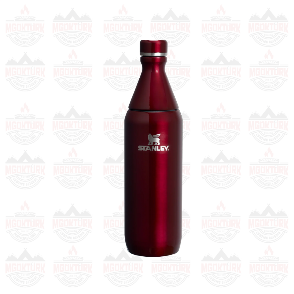 The All Day Slim Bottle  0.6L / 20oz Garnet Shine