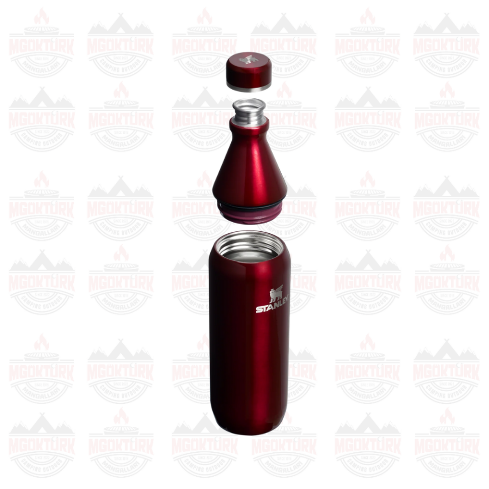 The All Day Slim Bottle  0.6L / 20oz Garnet Shine