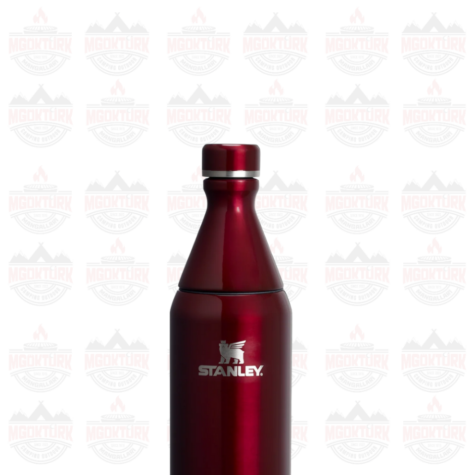 The All Day Slim Bottle  0.6L / 20oz Garnet Shine