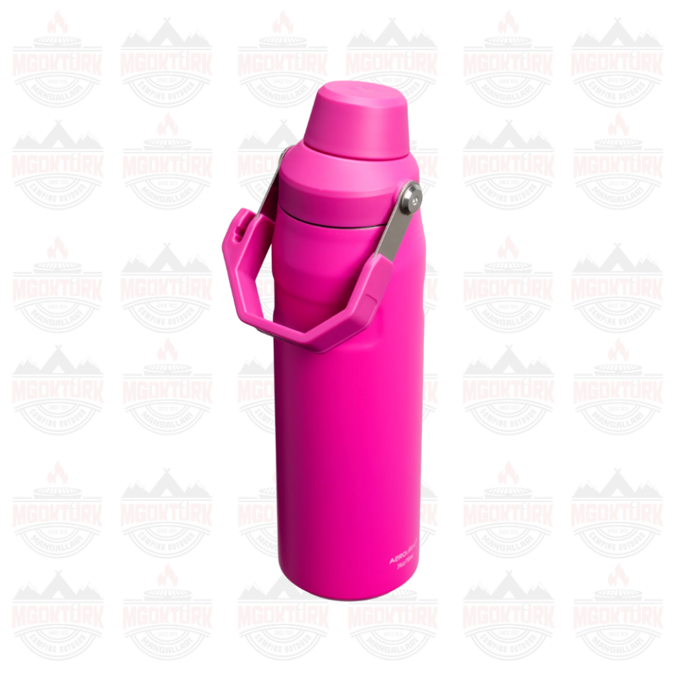 The IceFlow™ Bottle Fast Flow 0.7L / 24oz Violet Blossom