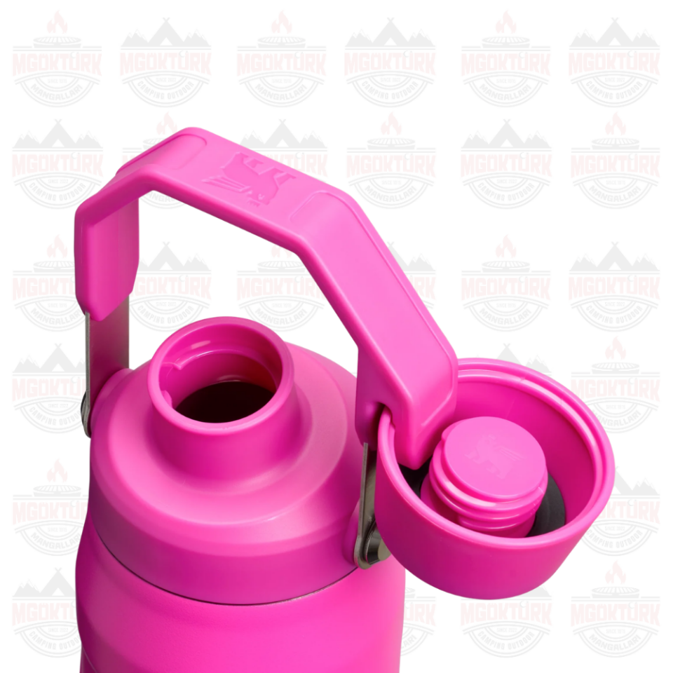 The IceFlow™ Bottle Fast Flow 0.7L / 24oz Violet Blossom