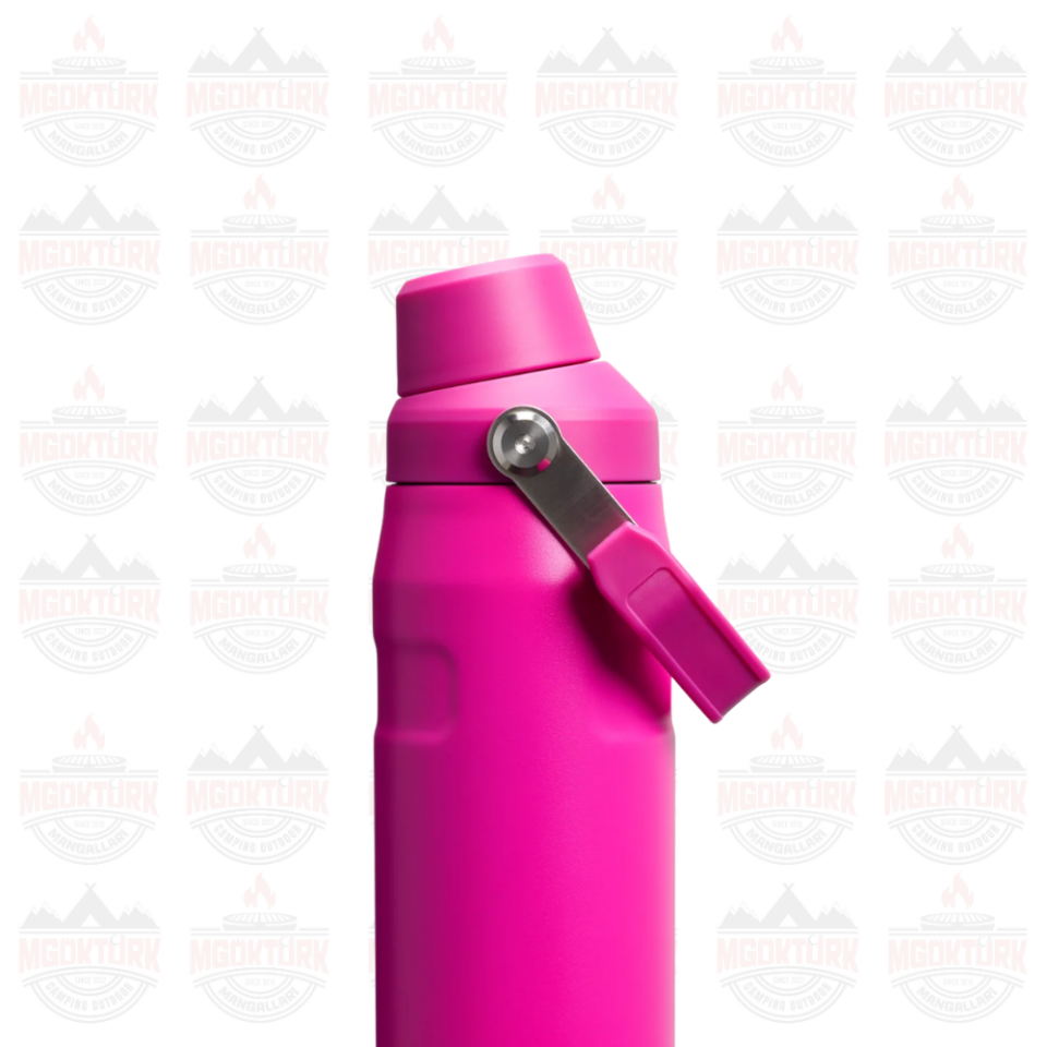 The IceFlow™ Bottle Fast Flow 0.7L / 24oz Violet Blossom