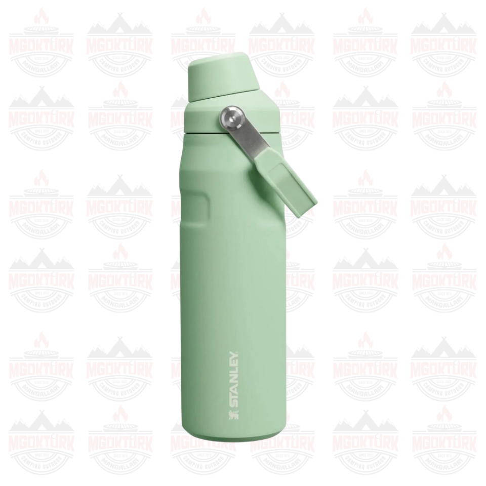 The IceFlow™ Bottle Fast Flow 0.7L / 24oz Pistachio