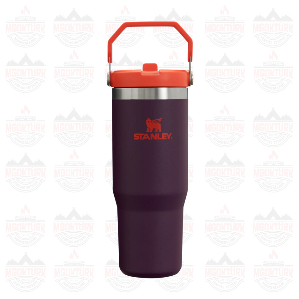 The IceFlow ™ Flip Straw Tumbler 0.89 LT Plum
