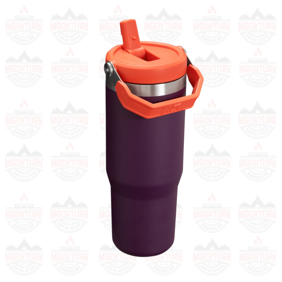 The IceFlow ™ Flip Straw Tumbler 0.89 LT Plum