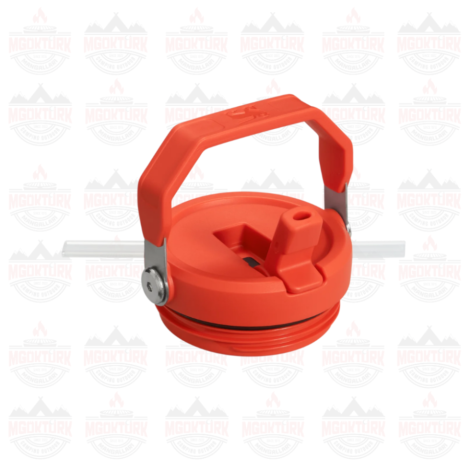 The IceFlow ™ Flip Straw Tumbler 0.89 LT Plum