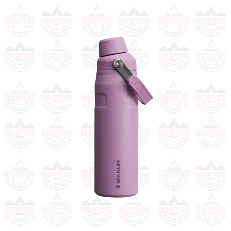 The Aerolight ™ IceFlow ™ Water Bottle Fast Flow 0.6L / 20oz Lilac