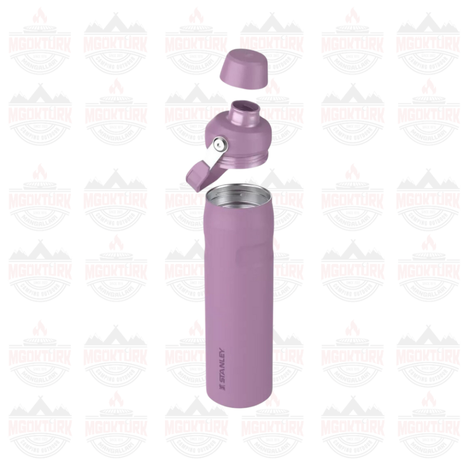 The Aerolight ™ IceFlow ™ Water Bottle Fast Flow 0.6L / 20oz Lilac