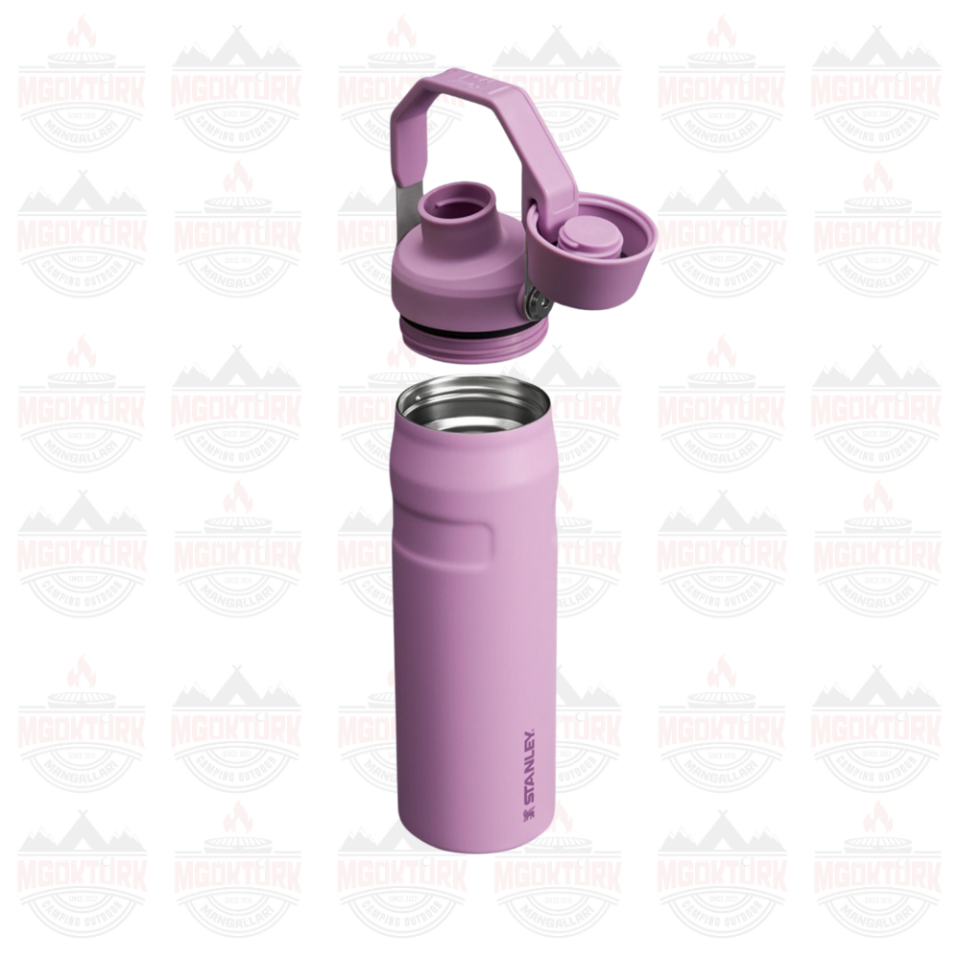 The Aerolight ™ IceFlow ™ Water Bottle Fast Flow 0.6L / 20oz Lilac
