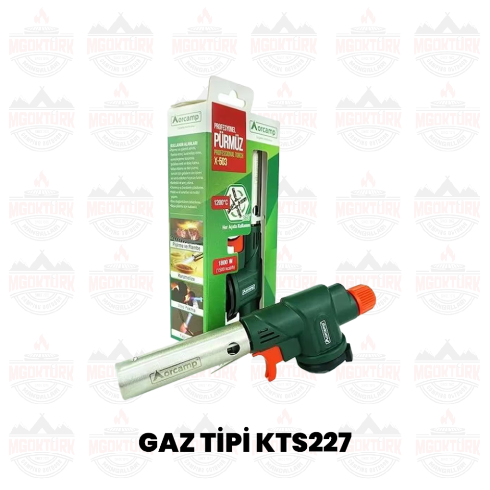 PROFESYONEL PÜRMÜZ