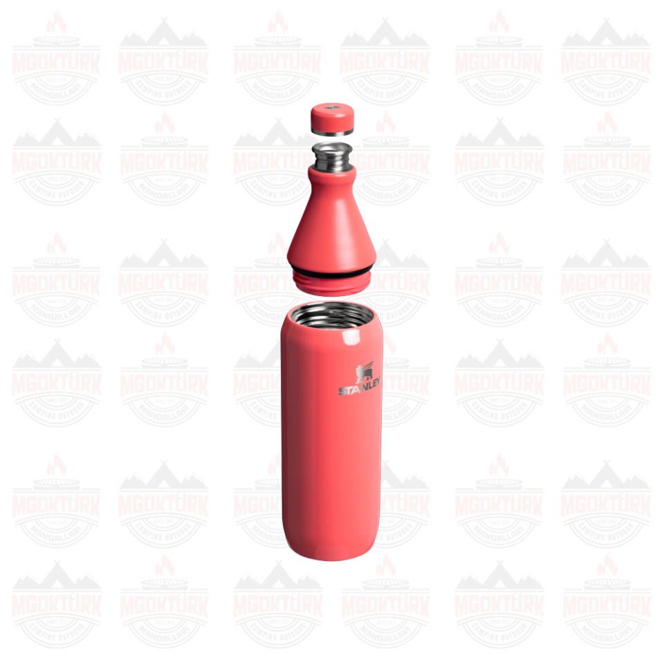The All Day Slim Bottle 0.6L / 20oz Hot Coral