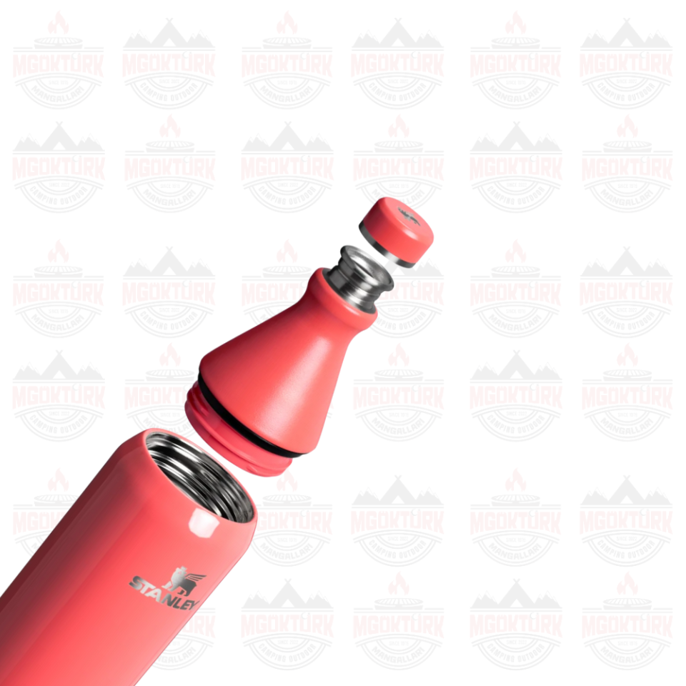 The All Day Slim Bottle 0.6L / 20oz Hot Coral