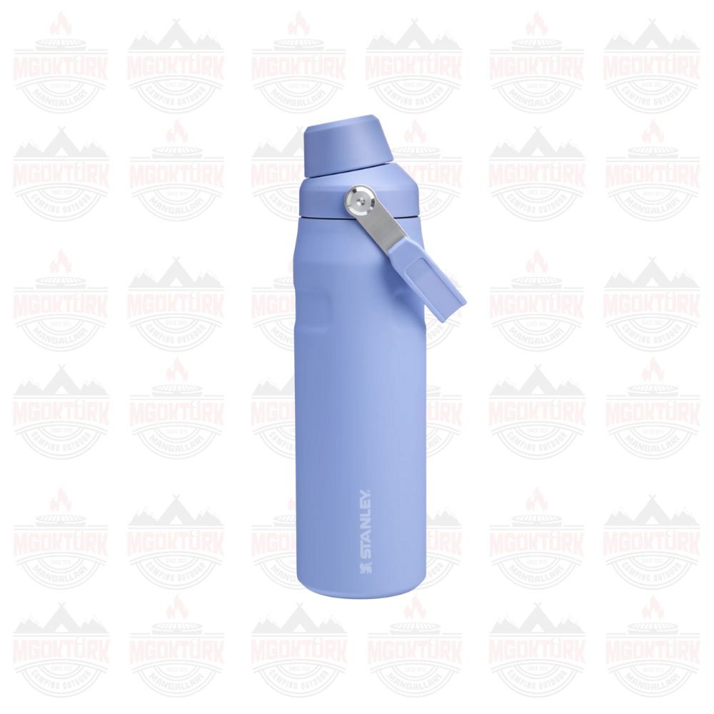 The Aerolight ™ IceFlow ™ Water Bottle Fast Flow 0.7L / 24oz Hydrangea