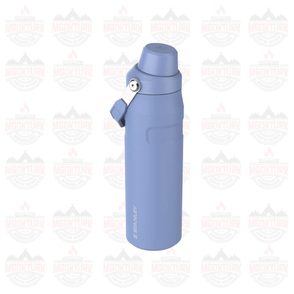 The Aerolight ™ IceFlow ™ Water Bottle Fast Flow 0.7L / 24oz Hydrangea