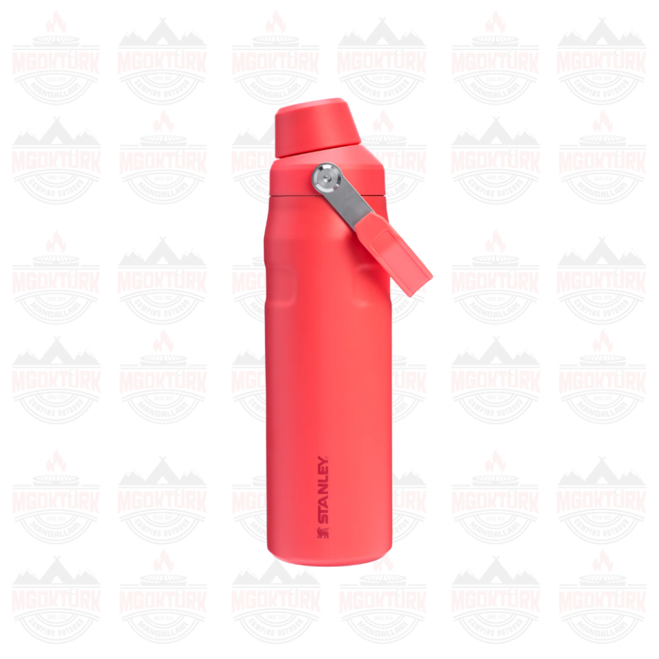 The Aerolight ™ IceFlow ™ Water Bottle Fast Flow 0.7L / 24oz Hot Coral