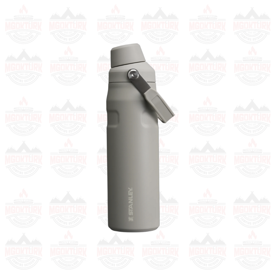 The Aerolight ™ IceFlow ™ Water Bottle Fast Flow 0.7L / 24oz Ash