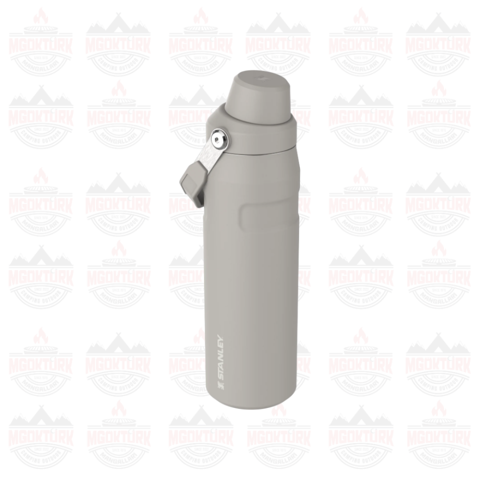 The Aerolight ™ IceFlow ™ Water Bottle Fast Flow 0.7L / 24oz Ash