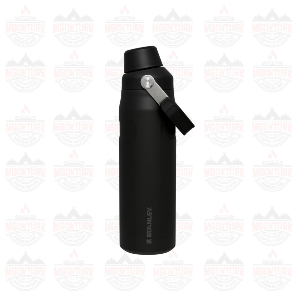 The Aerolight ™ IceFlow ™ Water Bottle Fast Flow 0.7L / 24oz Black 2.0