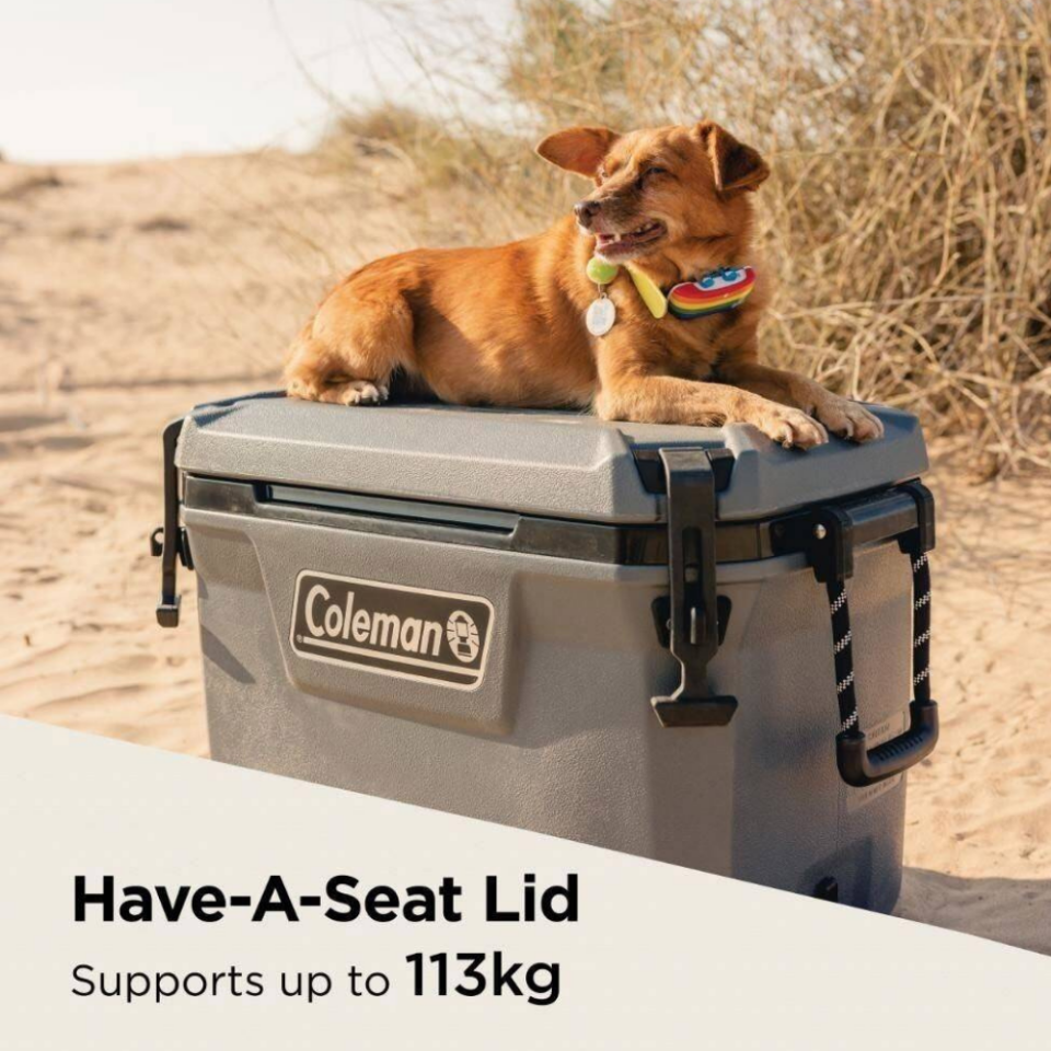 Coleman Convoy 55 QT 5823 Taşınabilir Soğutucu Buzluk 52 Lt