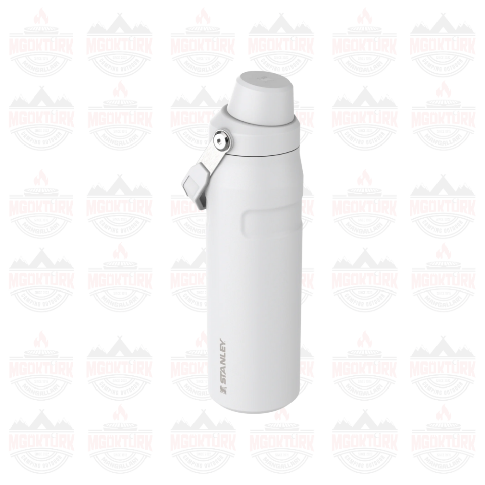 The Aerolight ™ IceFlow ™ Water Bottle Fast Flow 0.7L / 24oz Frost