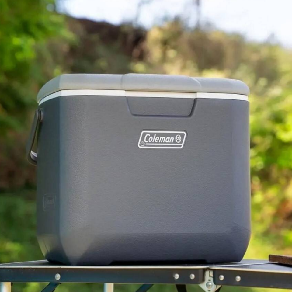 Coleman Daintree Personal Hard Cooler Soğutucu Buzluk 28 Lt