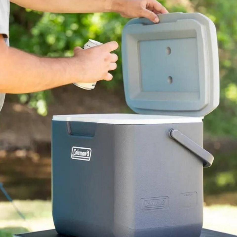 Coleman Daintree Personal Hard Cooler Soğutucu Buzluk 28 Lt