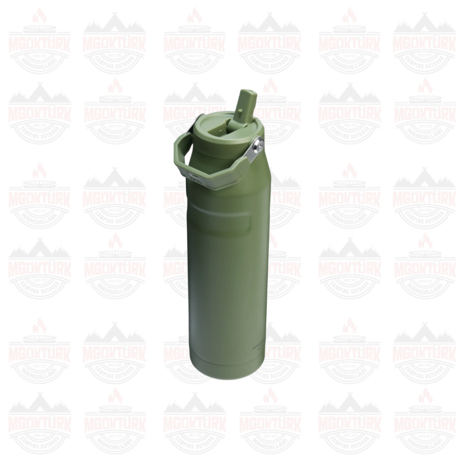 The IceFlow™ Bottle Flip Straw 2.0 0.07L / 24oz Dried Pine