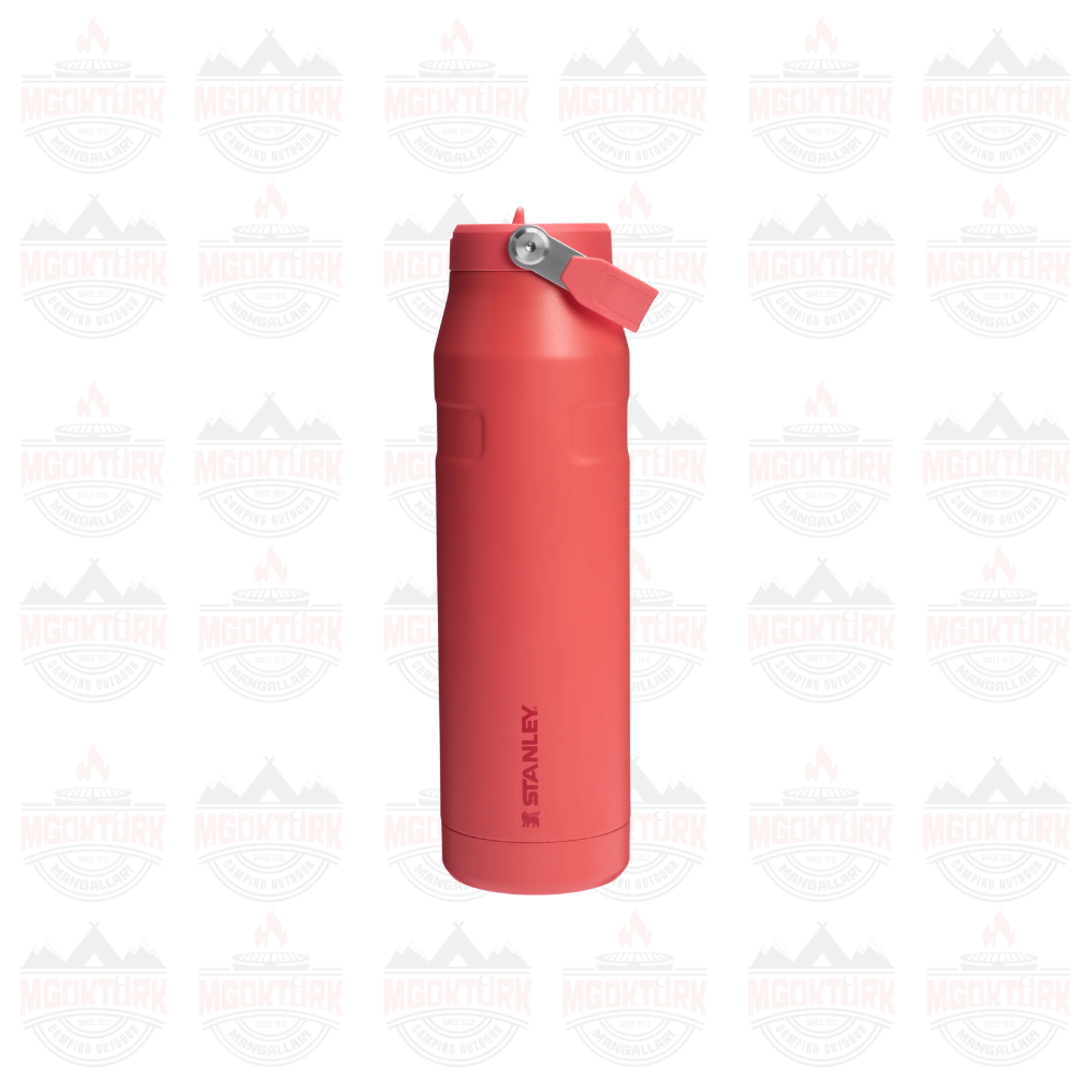 The IceFlow™ Bottle Flip Straw 2.0 0.07L / 24oz Hot Coral