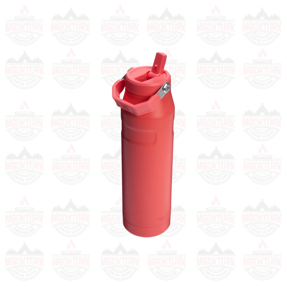 The IceFlow™ Bottle Flip Straw 2.0 0.07L / 24oz Hot Coral